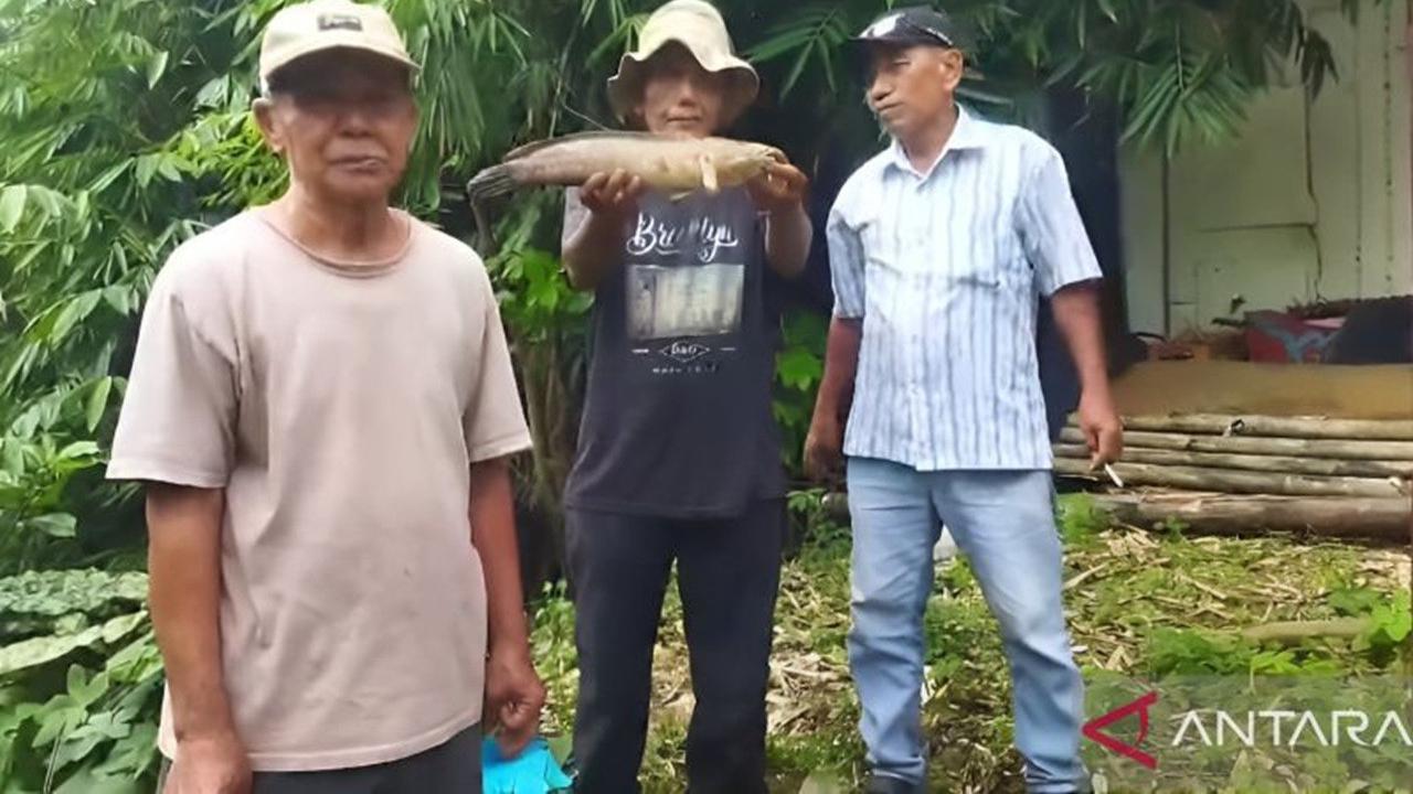 Perhatian Warga Tangerang! Jangan Konsumsi Ikan dari Sungao Cisadane Tercemar Bahan Kimia