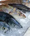 Ilustrasi ikan segar. (Photo by camila igisk on Unsplash)
