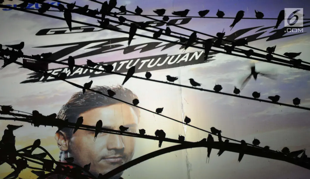 Ribuan burung Layang-layang Api (Hirundo rustica) memenuhi kabel listrik di Jalan Mgr Sugiyopranoto, Semarang, Jumat (4/1). Mereka bermigrasi dari negara sub tropis yakni India, Korea, Jepang dan Australia. (Liputan6.com/Gholib)