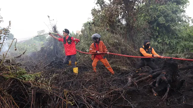 Titik Panas Kebakaran Hutan di Kalimantan Naik 4 Kali Lipat dalam Sehari