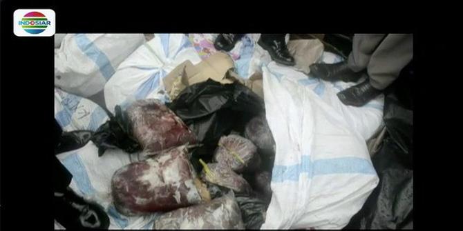 Polisi Gagalkan Penyelundupan Daging Celeng 900 Kilogram di Lampung Selatan