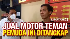 vertical temen
