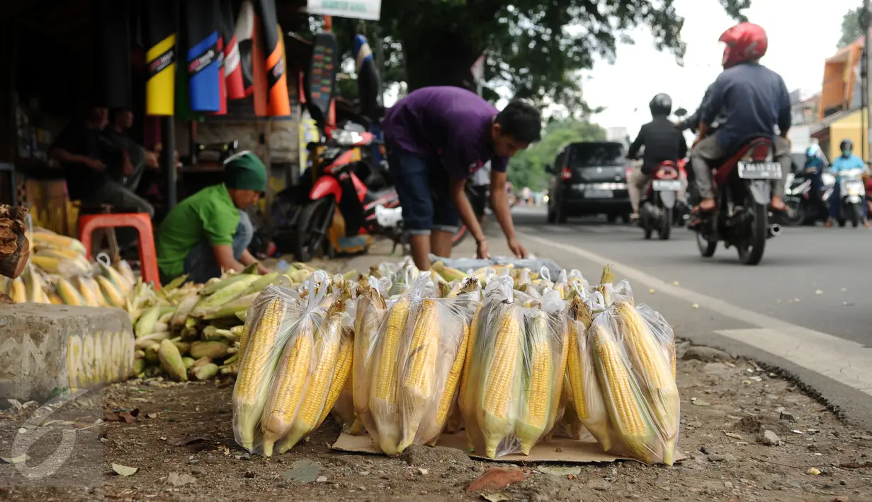 Sejumlah kemasan jagung dijajakan pedagang di Jalan Raya Bogor, Depok, Kamis (31/12/2015). Salah satu pedagang mengaku menjual seharga Rp 3.000,- per jagung (Liputan6.com/Helmi Fithriansyah)
