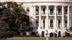 Sebagian dari pohon Magnolia Jackson di sisi barat halaman Gedung Putih yang telah ditanam sejak tahun 1835, Selasa (26/12). Ibu negara AS, Melania Trump memerintahkan untuk menebang pohon magnolia berusia dua abad tersebut. (AP/Andrew Harnik)