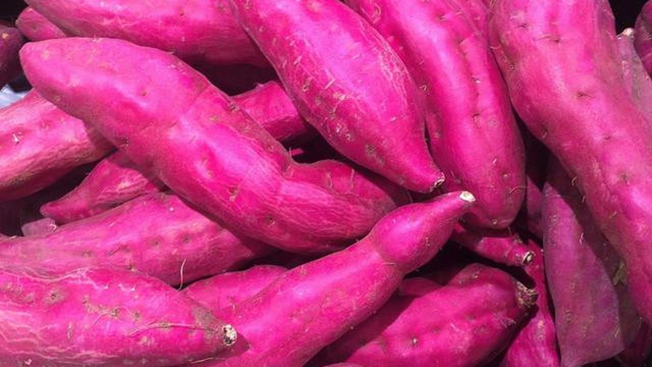 Manfaat Ubi Jalar untuk Sarapan, Cocok untuk Diet Optimal