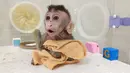Foto yang dirilis 24 Januari 2019, monyet kloning yang lahir 28 September 2018 di sebuah lembaga penelitian di Shanghai. Ilmuwan China menciptakan monyet kloning, yang gennya telah diedit untuk membawa penyakit. (HO/CHINESE ACADEMY OF SCIENCES INST/AFP)