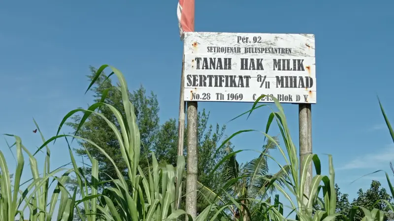 Papan bertulis nomor sertifikat hak milik atas nama Mihad dipasang di atas tanah di Desa Setrojenar, Kecamatan Buluspesantren, Kebumen, Rabu (24/3/2021). (Liputan6.com/Rudal Afgani Dirgantara)