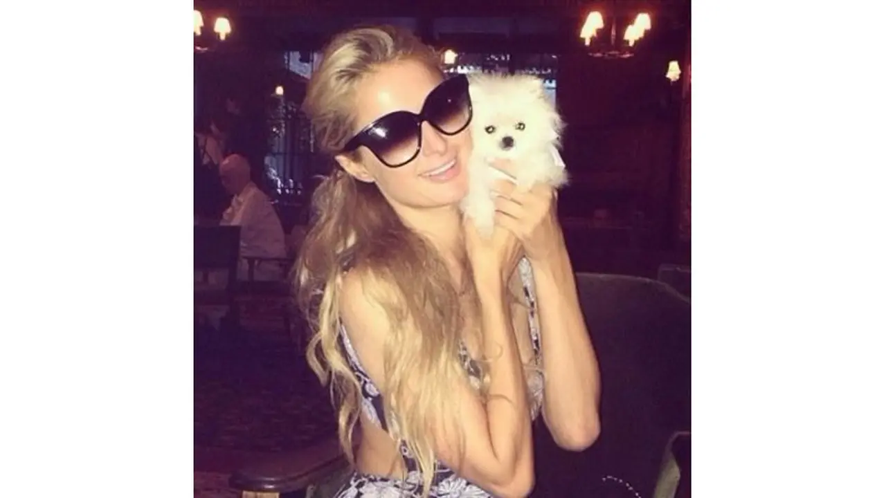 Anjing Baru Paris Hilton Doyan Selfie