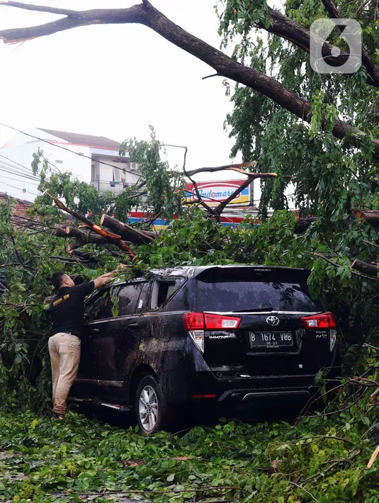 Seorang pria membersihkan dahan pohon tumbang yang menimpa mobil di Kota Tangerang, Banten, Kamis (23/12/2021). Puluhan pohon dan gapura tumbang akibat terjangan angin kencang saat hujan lebat melanda Kota Tangerang. (Liputan6.com/Angga Yuniar)