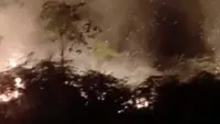 Kebakaran Lahan di Aceh Barat Capai 19 Hektare, BPBD Masih Lakukan Penanganan