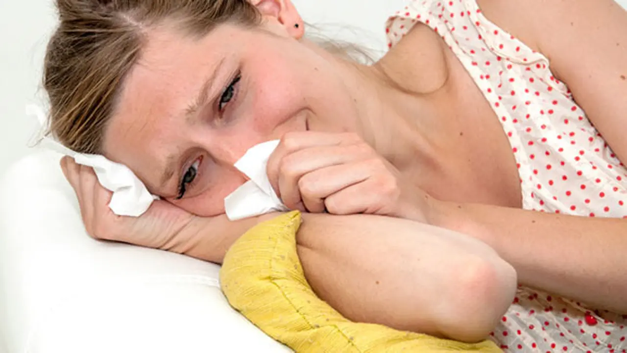 Foto: shutterstock