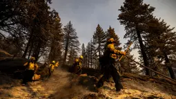 Kebakaran hutan di perbukitan dekat Los Angeles meluas dalam waktu semalam pada tanggal 11 September 2024. (ETIENNE LAURENT/AFP)