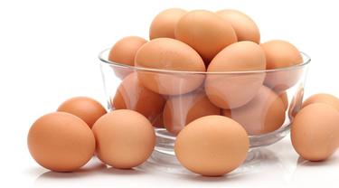 Jenis Jenis Telur Ayam Telur Organik Beauty Fimela Com