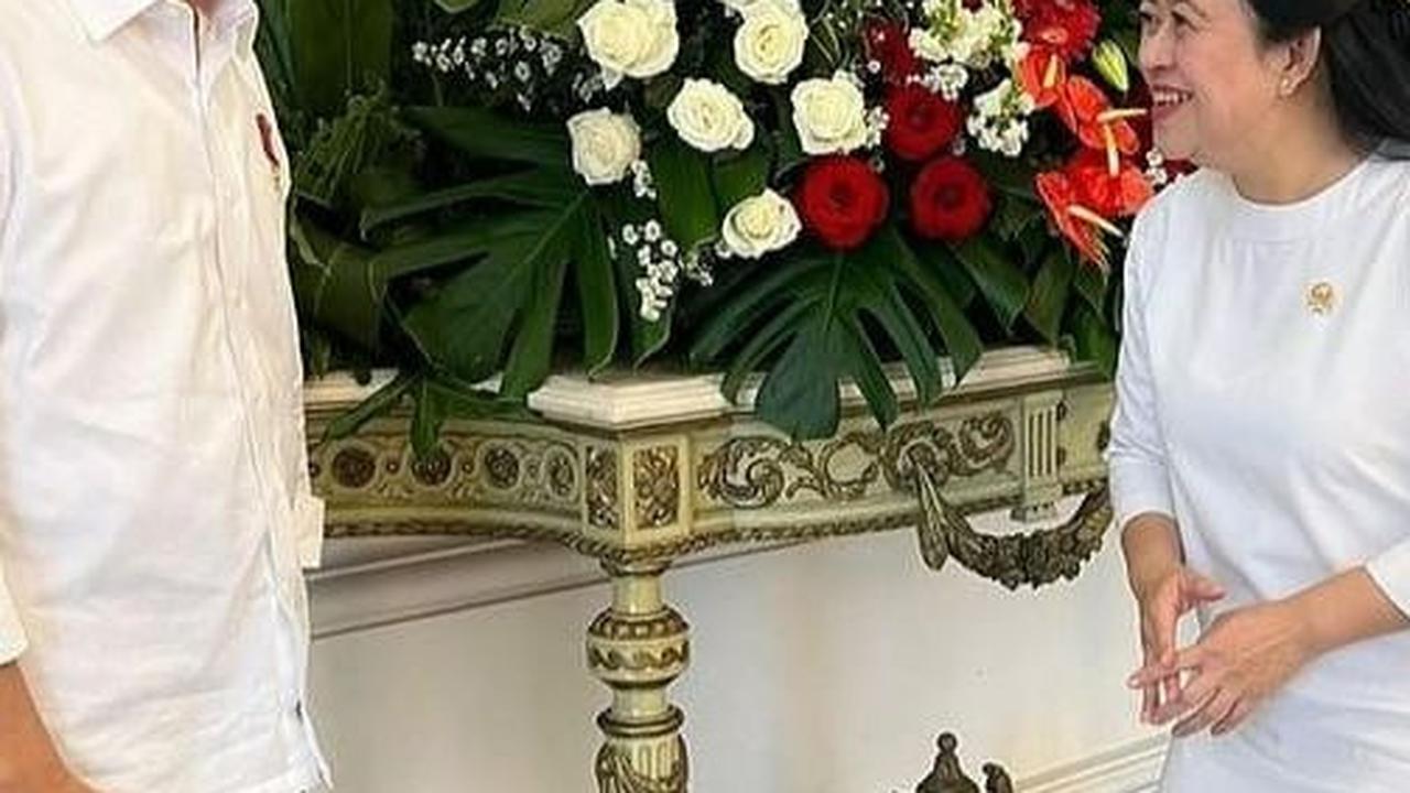 Bertemu Jokowi di Istana, Puan Maharani: Kira-kira Ngobrolin Apa Ya?