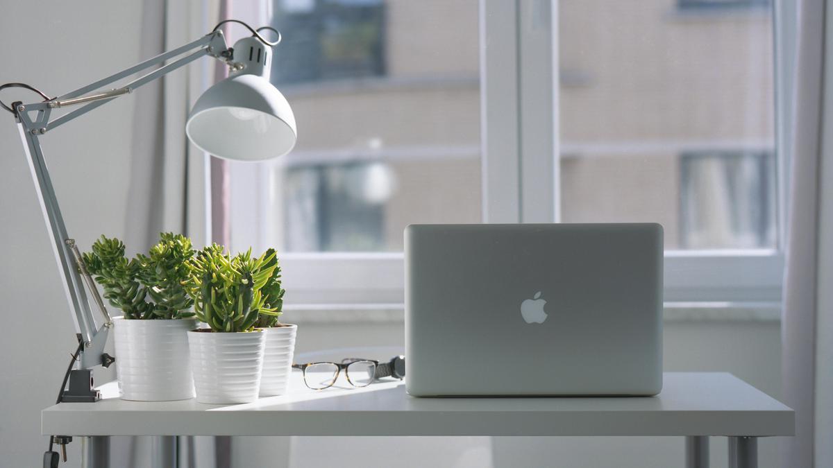 Bisnis Hijau dari Kebiasaan Sehari-hari sebagai Peluang Usaha Sederhana tapi Berkelanjutan