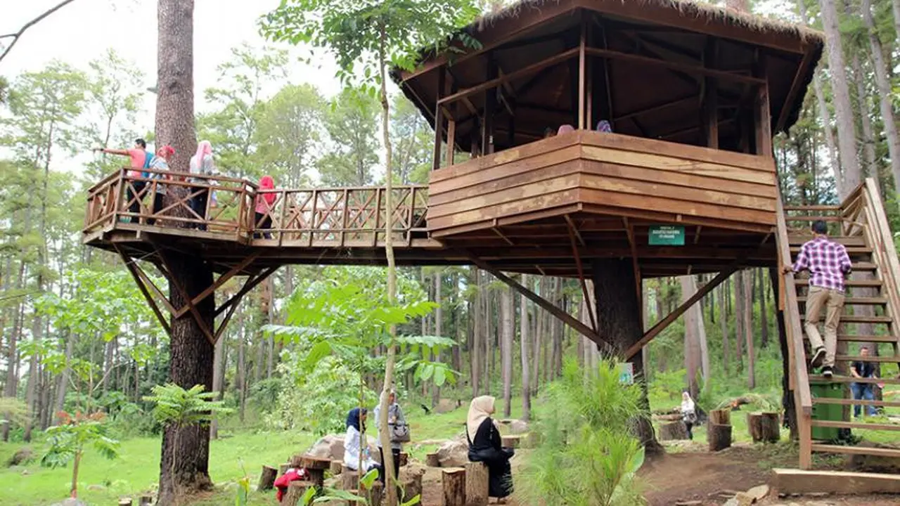 Tempat Wisata Rumah Pohon di Bekasi