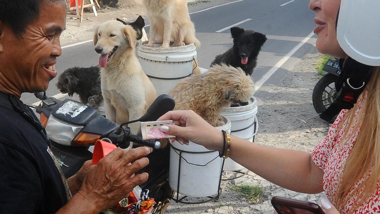 Terkadang ia mendapatkan uang pemberian dari wisatawan asing yang antusias melihat Lelut membawa enam ekor anjing di atas motornya.