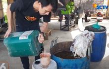 Petani Trenggalek Ubah Limbah Rumen Hewan Kurban Jadi Pupuk Organik, Ternyata Manfaatnya Seabrek