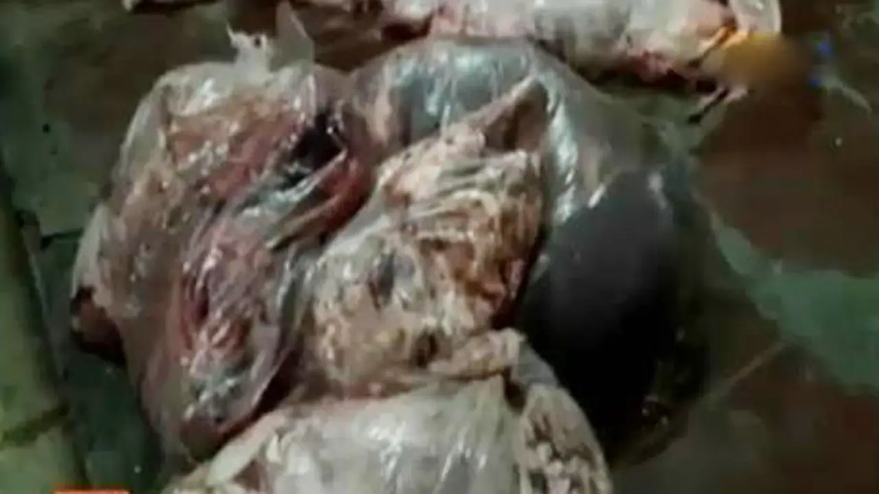 Daging Berpemutih