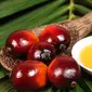 minyak kelapa sawit memiliki kandungan lemak, beta-karoten, vitamin E dan antioksidan. 