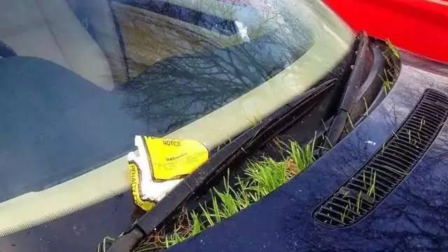 7 Potret Kendaraan Ditumbuhi Tanaman Liar dari Motor Hingga Mobil Ini Heran