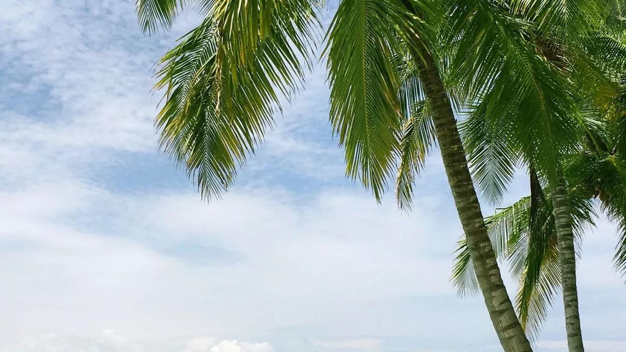 Kemendagri Minta Pemda Maksimalkan Potensi Laut: Itu Modal Besar Menggerakkan Perekonomian