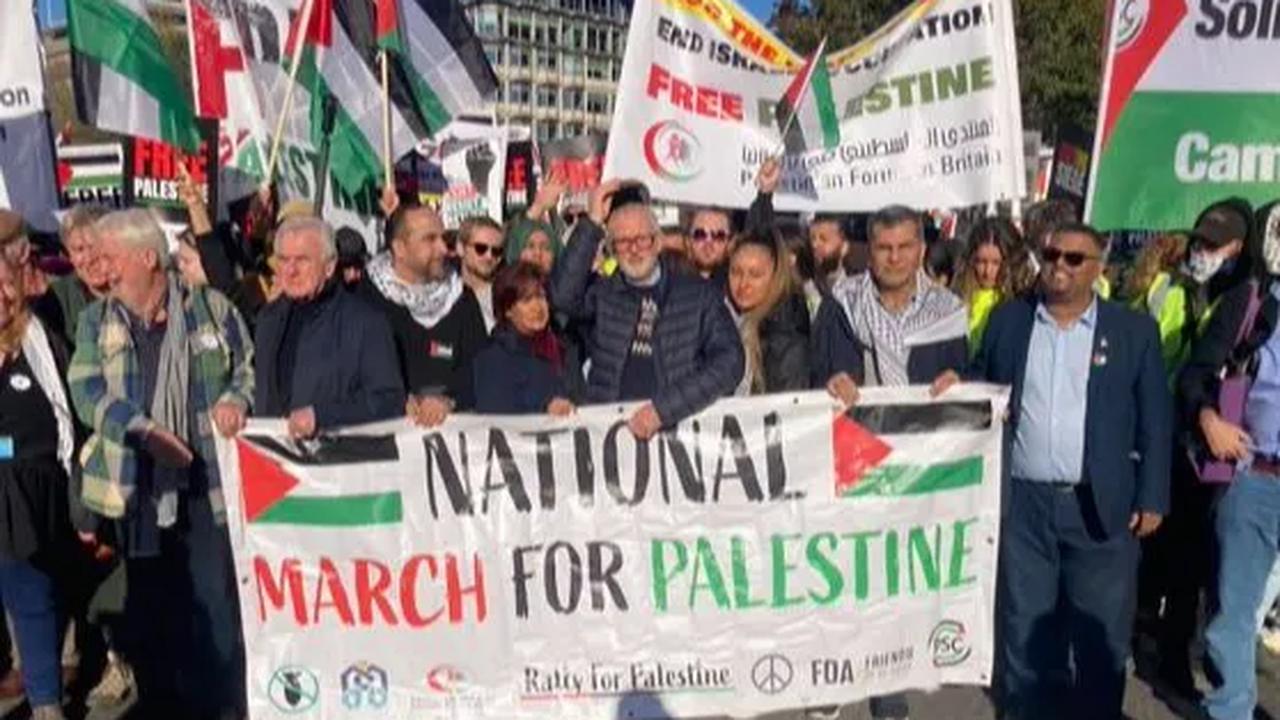 Kata-kata Bela Palestina dalam Bahasa Inggris