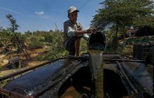 JAPNAS: Legalisasi Sumur Minyak Rakyat Jadi Kunci Kebangkitan Industri Migas Aceh dan Ketahanan Energi Nasional