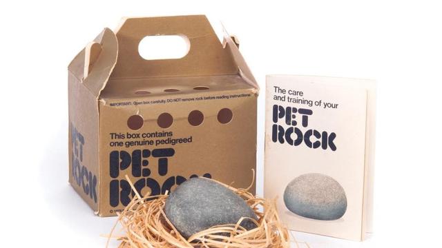 Pet rock, ide jualan batu untuk orang yang ingin punya peliharaan anti-ribet.