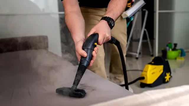 Cleaning Sofa