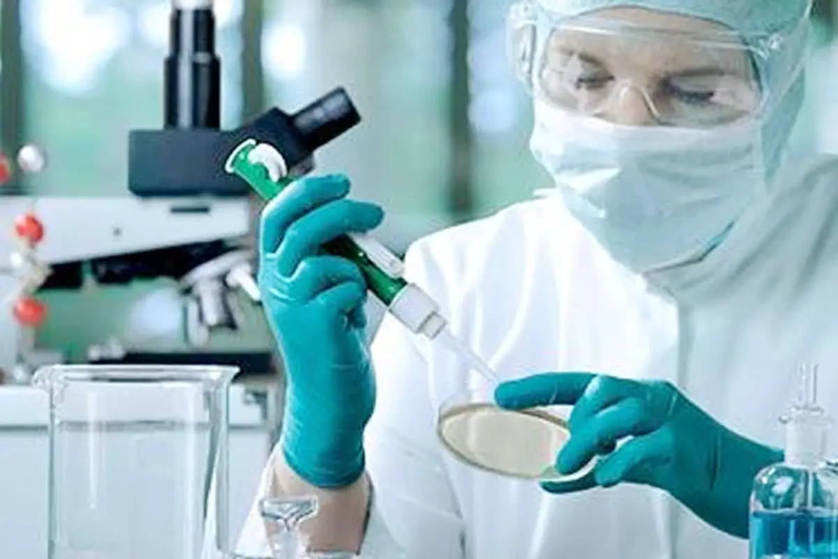 stemcell-2