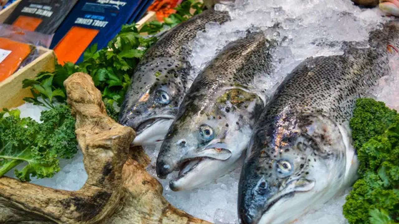 6 Kandungan Gizi Ikan Jambal yang Menguntungkan Bagi Kesehatan