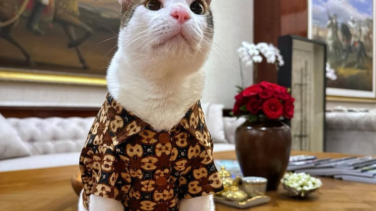 Bobby Kertanegara