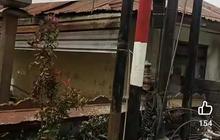 Pinggul Siswa SD Robek Diserang Monyet Liar