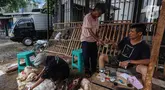 Pengepul melakukan pembayaran kulit hewan kurban di Tanah Abang, Jakarta Pusat, Selasa (18/6/2024). (Liputan6.com/Angga Yuniar)
