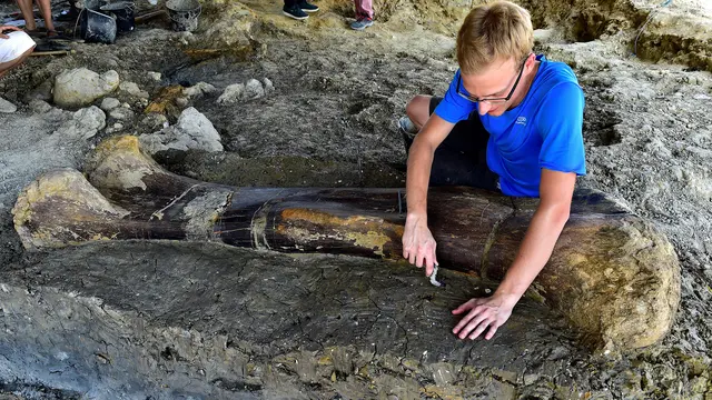 Penemuan Tulang Raksasa Dinosaurus