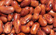 8 Manfaat Kacang Merah untuk Bayi, Menyehatkan Saluran Pencernaan