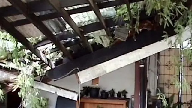 Pohon Tumbang Timpa Rumah dan Mobil di Cipete