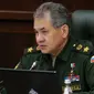 Menteri Pertahanan Rusia Sergei Shoigu. (Ria Novosti)