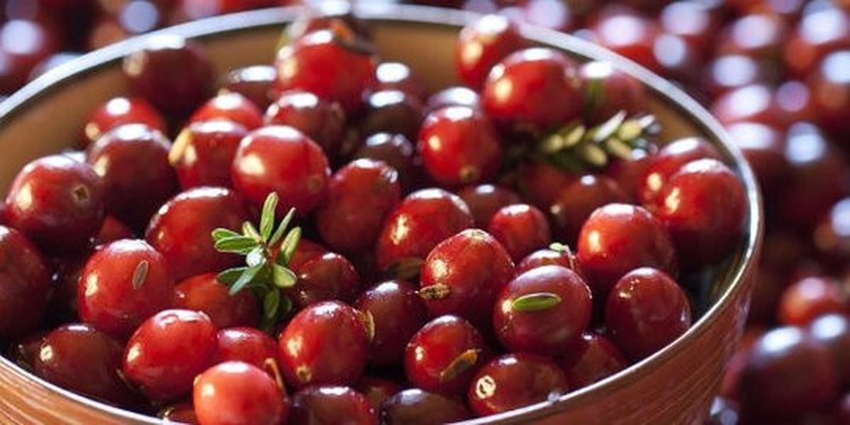 Cranberry