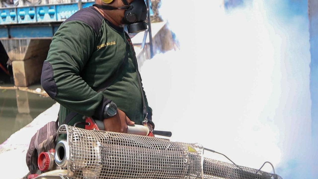 Dinas Kesehatan DKI Jakarta mencatat terdapat 3.875 ribu kasus demam berdarah dengue (DBD) selama periode Januari-April 2024. Liputan6.com/Herman Zakharia