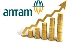 Jangan FOMO, Begini Cara Investasi Emas yang Benar Menurut Ekonom