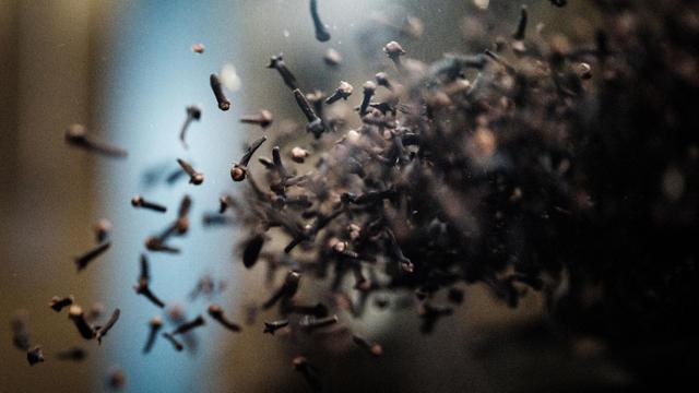 Perubahan Iklim Ancam Perkebunan Cengkih