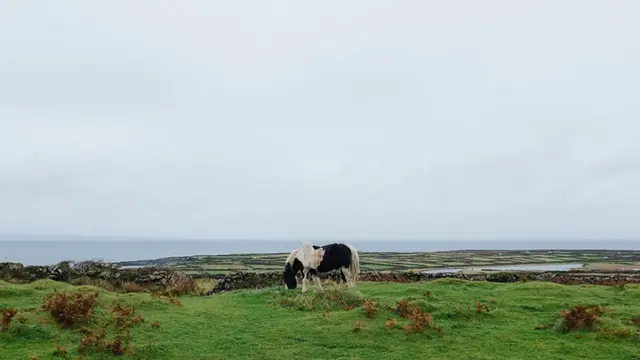 Ilustrasi Irlandia