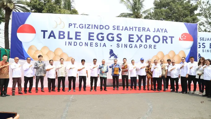 Mengintip Fakta Menarik Ekspor Telur Indonesia ke Singapura PT Charoen Pokphand Indonesia Tbk