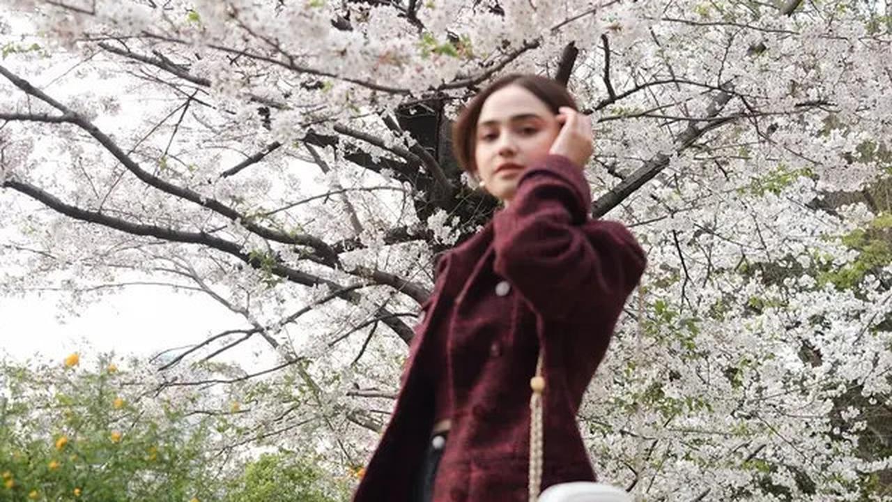 Adu Gaya Syifa Hadju, Ariel Tatum, dan Yura Yunita Saat Nikmati Sakura: Inspirasi Tampilan Elegan Musim Semi