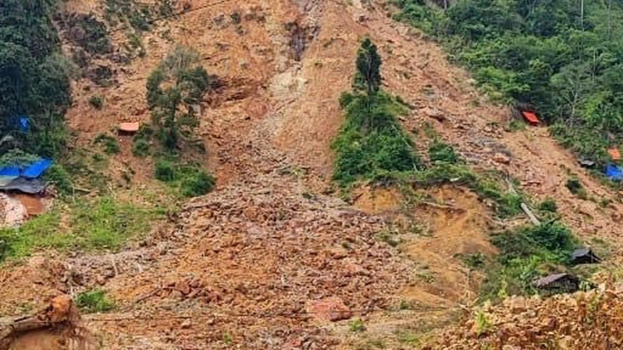 Tambang Ilegal Ditertibkan, Ratusan Hektare Lahan Kembali ke Negara