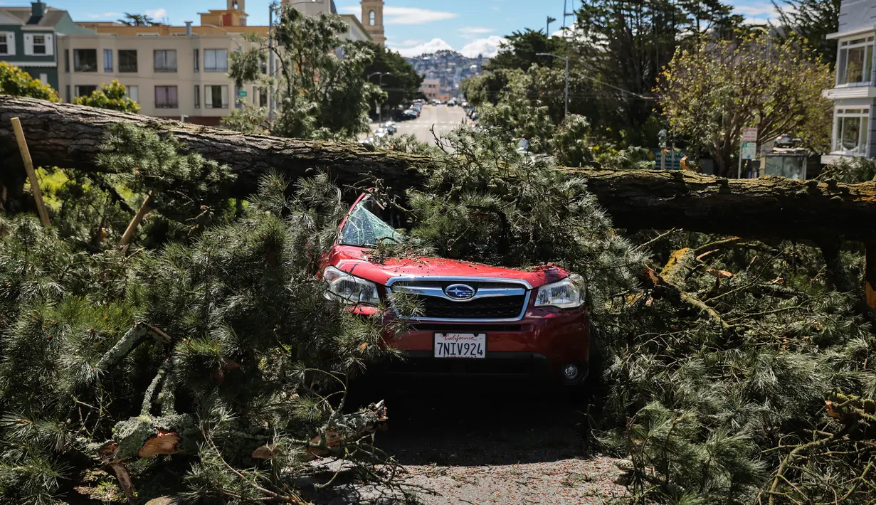 Pohon tumbang menimpa sebuah mobil setelah hujan badai lebat di Parker Avenue, San Francisco, California, Amerika Serikat, Rabu (22/3/2023). (Gabrielle Lurie/San Francisco Chronicle via AP)