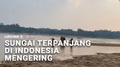 Musim kemarau yang memicu kekeringan, tak hanya menyebabkan kebakaran hutan meluas dan krisis air bersih bagi warganya. Sungai Kapuas yang menjadi sungai terpanjang di Indonesia, mengering.