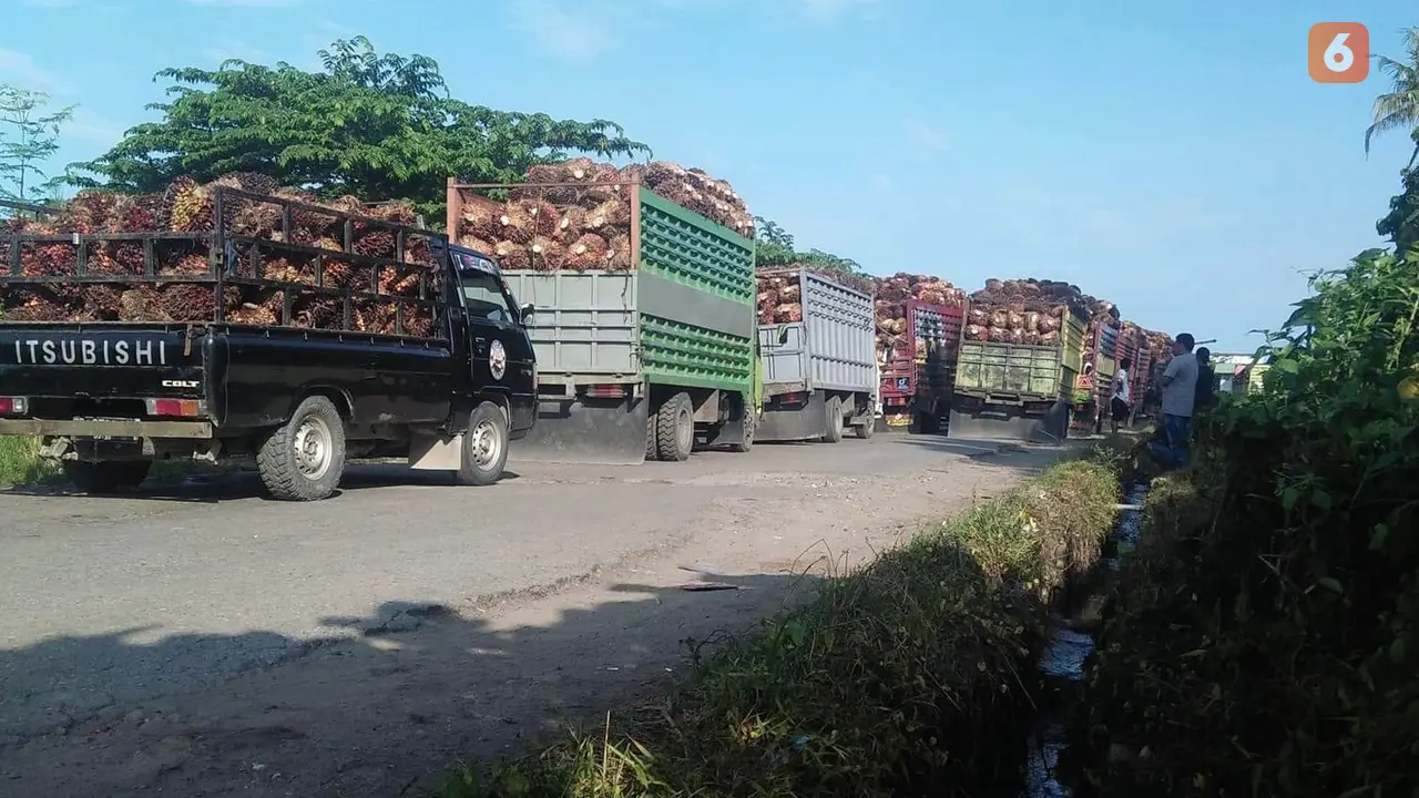 Antrean mobil pengangkut kepala sawit